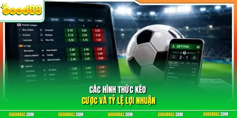 Các hình thức kèo cược và tỷ lệ lợi nhuận