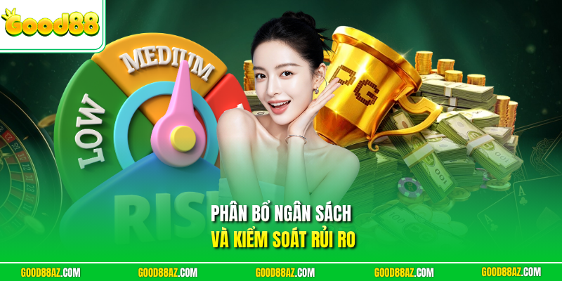 Phân bổ ngân sách và kiểm soát rủi ro