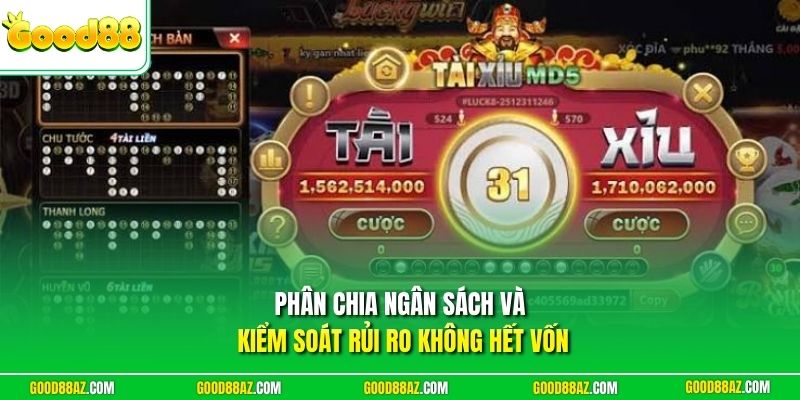 Phân chia ngân sách và kiểm soát rủi ro không hết vốn