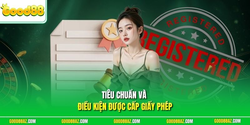 Tiêu chuẩn và điều kiện được cấp giấy phép